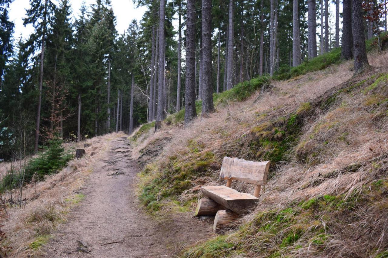 Grand Harrachov Pension V Centru Eksteriør billede