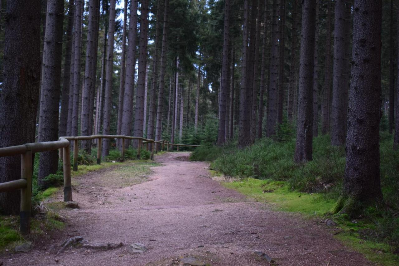Grand Harrachov Pension V Centru Eksteriør billede